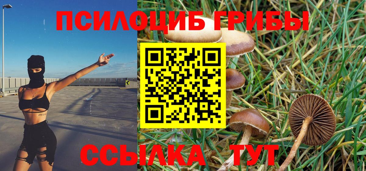 где купить наркоту  Вход с VPN  Магадан  Псилоцибиновые грибы MAGIC MUSHROOMS  Псилоцибиновые грибы MAGIC MUSHROOMS 
